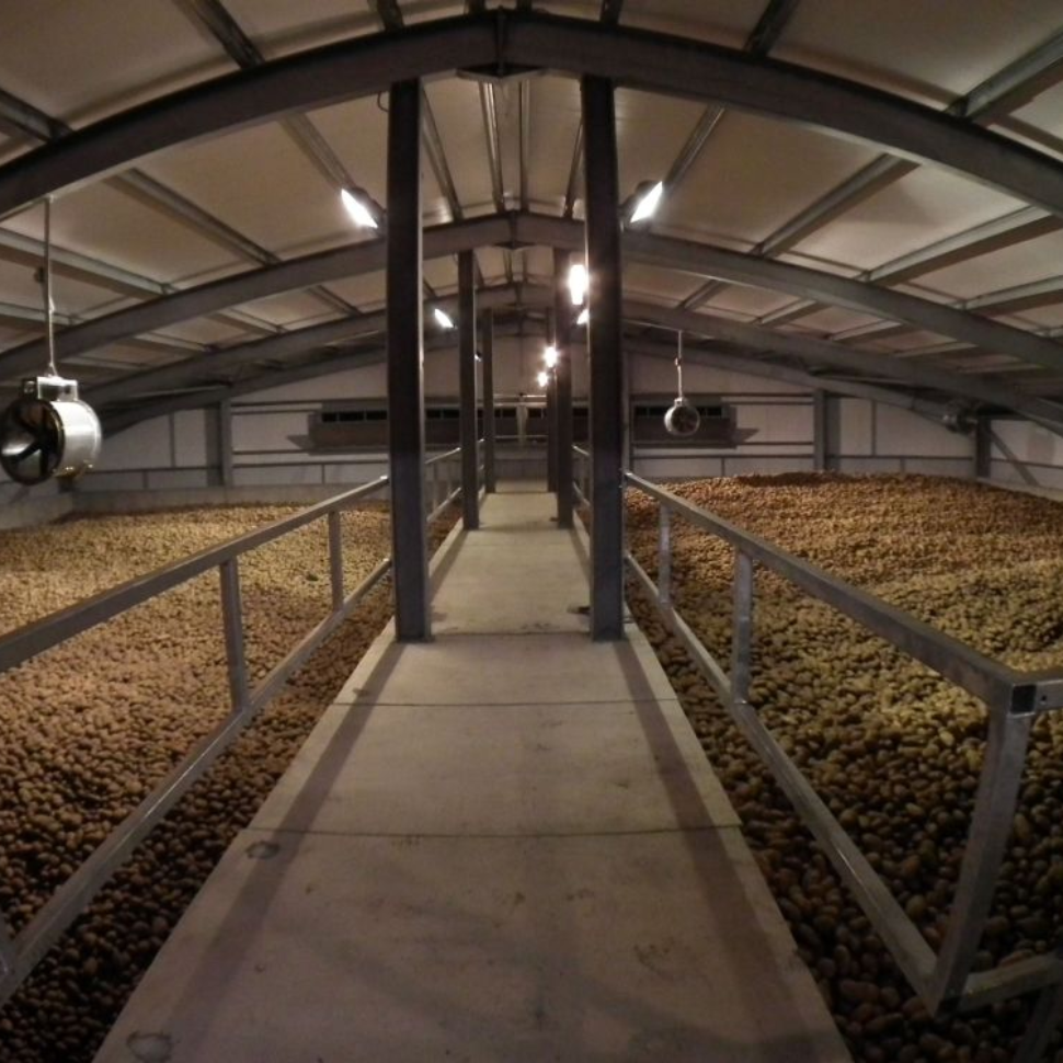 Системы вентиляции для сельского хозяйства: как обеспечить идеальные условия для животноводства и растениеводства